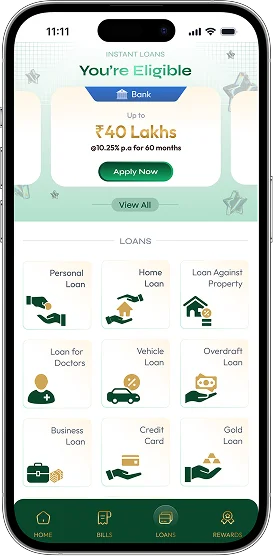 Loan options displayed in the mobile application